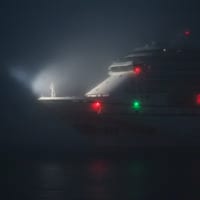 @estuary-allure