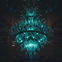 leeward-dazzling