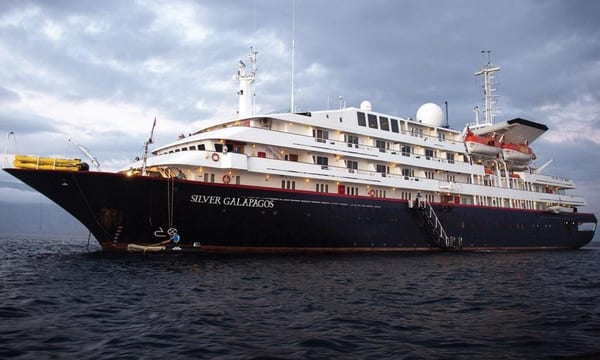 Silver Galapagos